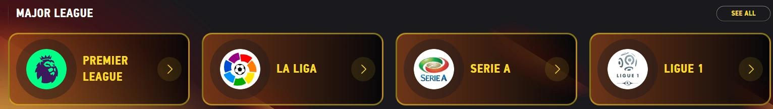 Φέζμπετ Μεγάλη Λιγκ